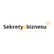 Logo Strategia Sukcesu